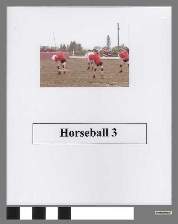 Horseball 3