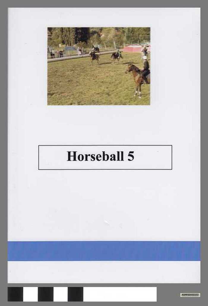 Horseball 5