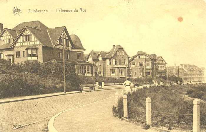 Duinbergen, L'Avenue de Roi