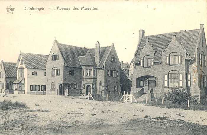 Duinbergen, L'Avenue des Mouettes