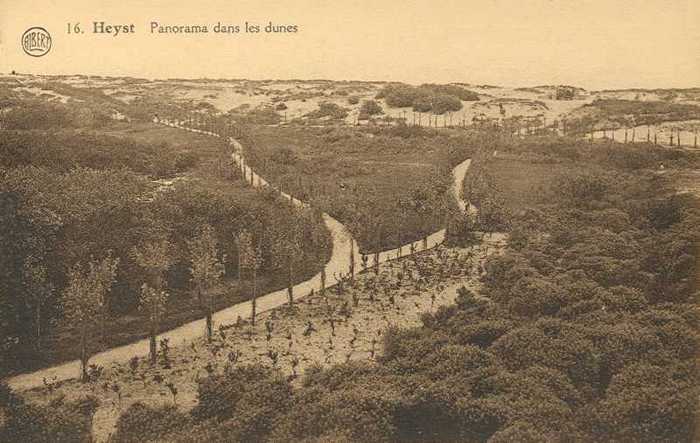 Heyst - Panorama dans les Dunes