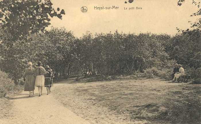 Heyst-sur-Mer - Le Petit Bois