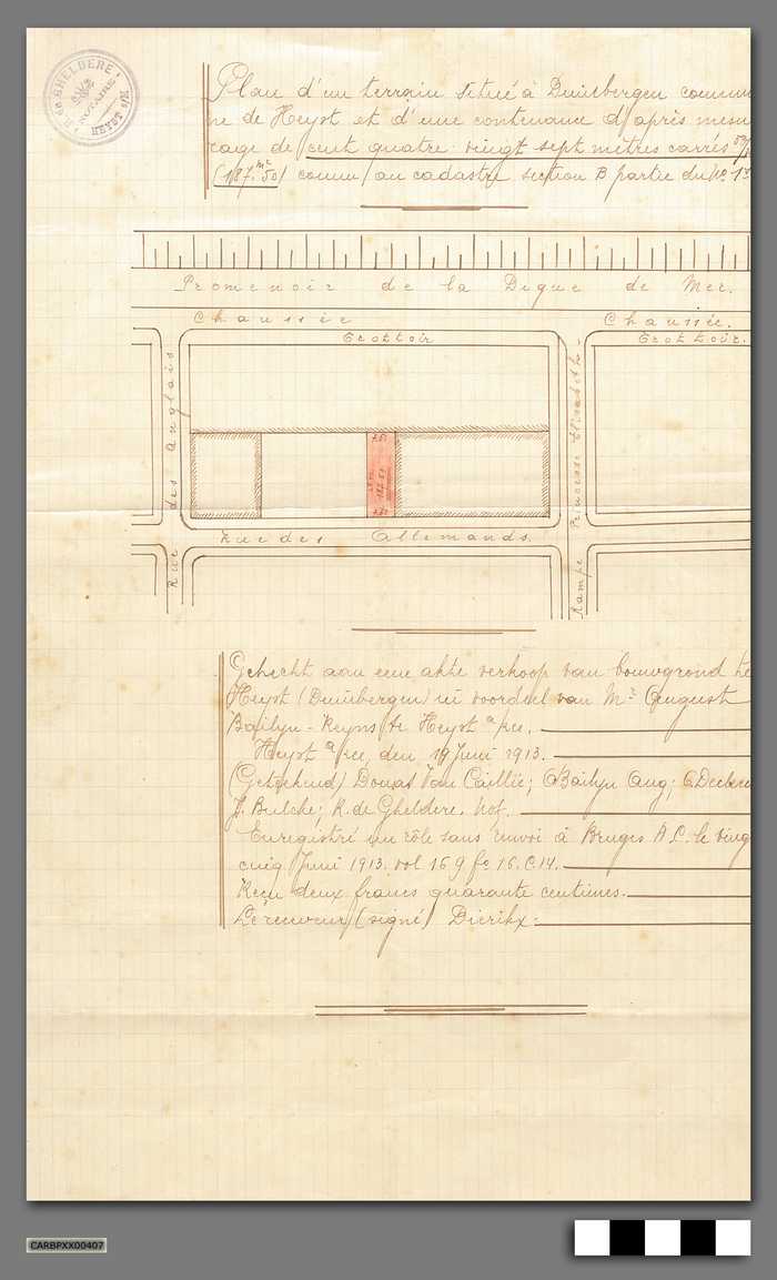 Plan d'un terrain situé à Duinbergen commune de Heyst et d'une contenance d'après mesurage - Rue des Allemandes