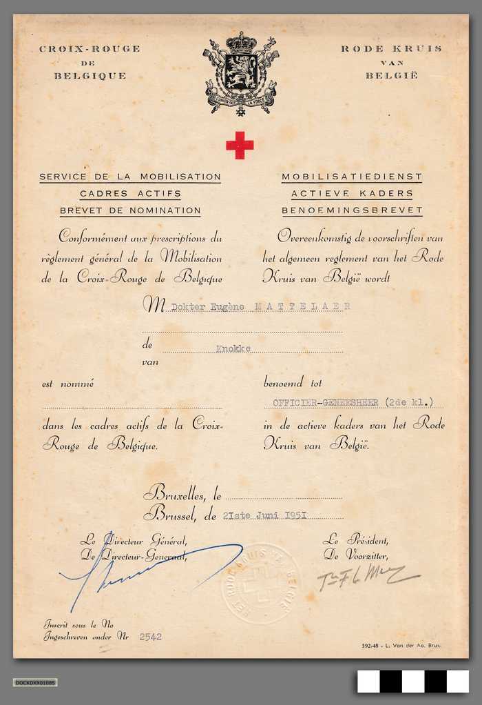 Rode Kruis van België - Mobilisatiedienst Actieve Kaders Benoemingsbrevet - Officier-Geneesheer (2de kl.) op naam van Dokter Eugène Mattelaer