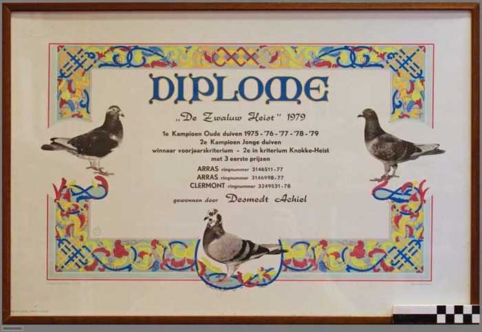 Diplome De zwaluw Heist, 1979 gewonnen door Desmedt Achiel