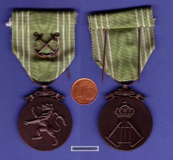 Bronzen medaille met leeuw